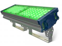 ФАСАДНЫЙ СВЕТОДИОДНЫЙ СВЕТИЛЬНИК TL-PROM 100 PR PLUS FL (Д) Green
