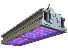 СВЕТОДИОДНЫЙ ФИТОСВЕТИЛЬНИК TL-PROM FITO 100 VR