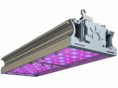 СВЕТОДИОДНЫЙ ФИТОСВЕТИЛЬНИК TL-PROM FITO 106 RS