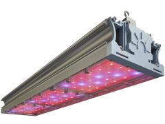 СВЕТОДИОДНЫЙ ФИТОСВЕТИЛЬНИК TL-PROM FITO 135 UN