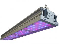 СВЕТОДИОДНЫЙ ФИТОСВЕТИЛЬНИК TL-PROM FITO 200 VR