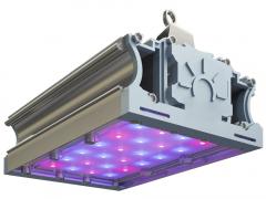 СВЕТОДИОДНЫЙ ФИТОСВЕТИЛЬНИК TL-PROM FITO 50 VR