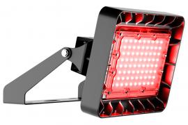АРХИТЕКТУРНЫЙ СВЕТОДИОДНЫЙ СВЕТИЛЬНИК TL-PROM APS 50 FL D60 Red
