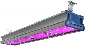 СВЕТОДИОДНЫЙ ФИТОСВЕТИЛЬНИК TL-PROM SM FITO 200 VR