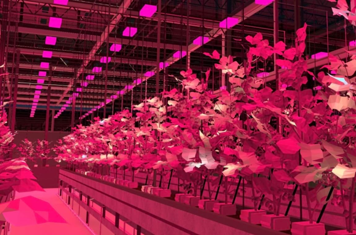 светильник TL-AGRO TOPLIGHT