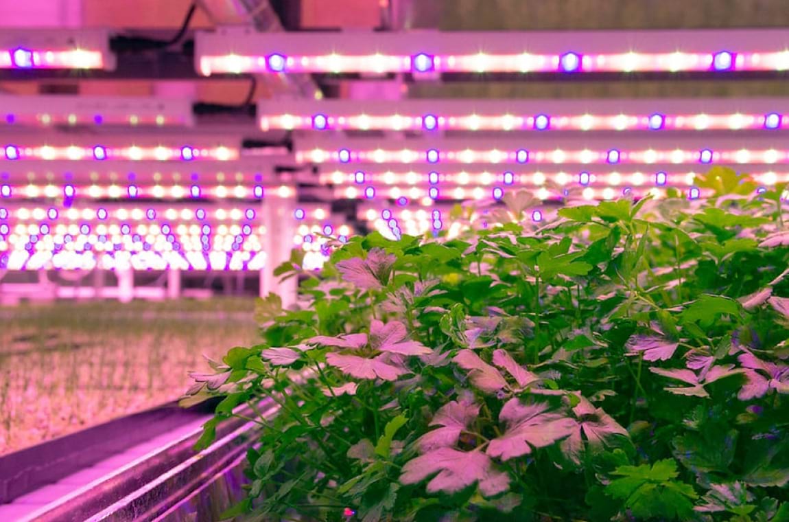 светильник ATAMAN AGRO HB 2