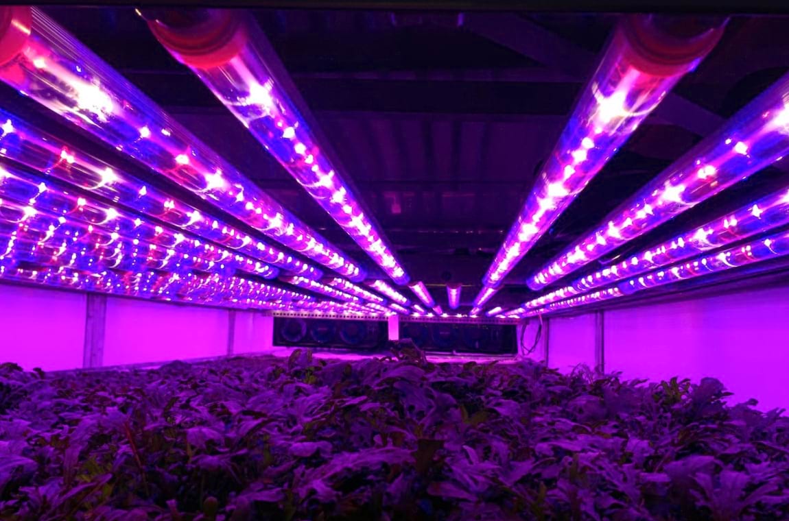 светильник TL-AGRO INTERLIGHT