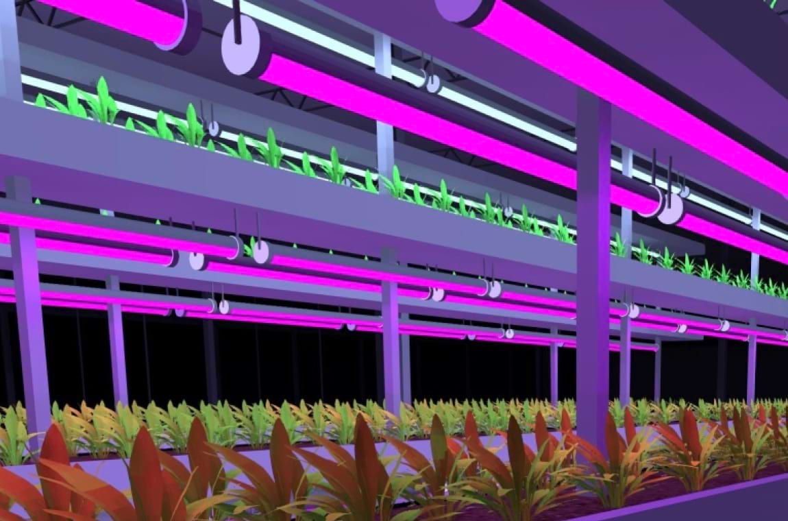 светильник TL-AGRO HORTI TUBE